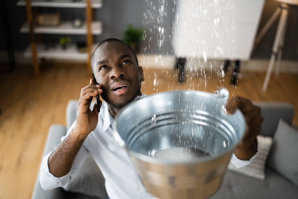 Best Water damage restoration near me  in Terville, WA