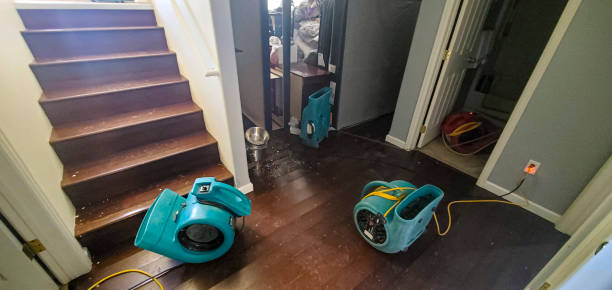 Best Water damage restoration near me  in Terville, WA
