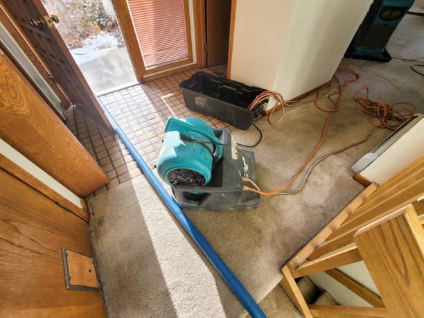 Best Sewage cleanup and water damage restoration  in Terville, WA