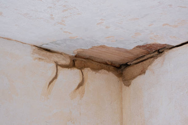 Best Professional water damage repair  in Terville, WA