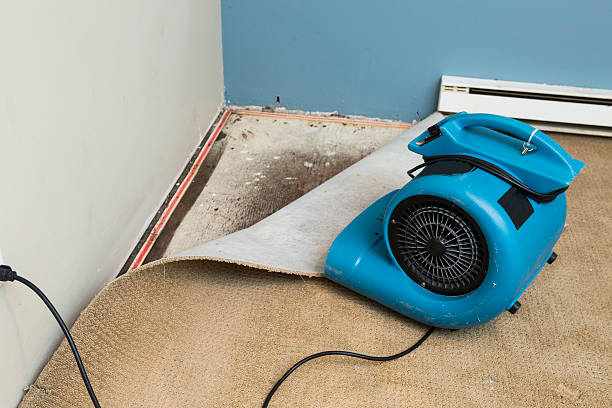 Best Water damage restoration services  in Terville, WA